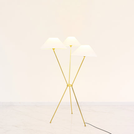 Stylish Floor Lamp for Your Home Floor Lamps Featuring Golden