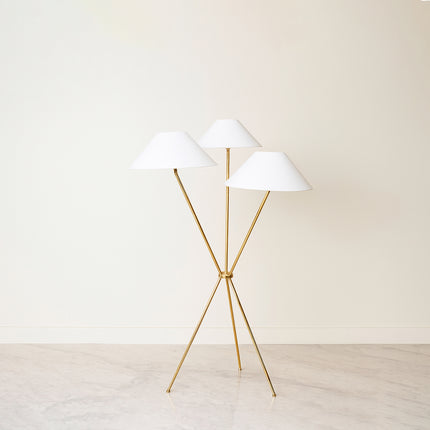 Stylish Floor Lamp for Your Home Floor Lamps Featuring Golden